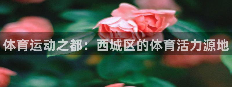 ug环球官网登录入口：体育运动之都：西城区的体育活力源地