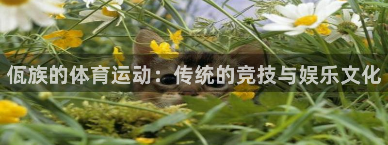 ug环球官网注册：佤族的体育运动：传统的竞技与娱乐文化