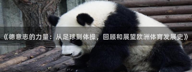 菲律宾ug环球官网：《德意志的力量：从足球到体操，回顾和展望欧洲体育发展史》