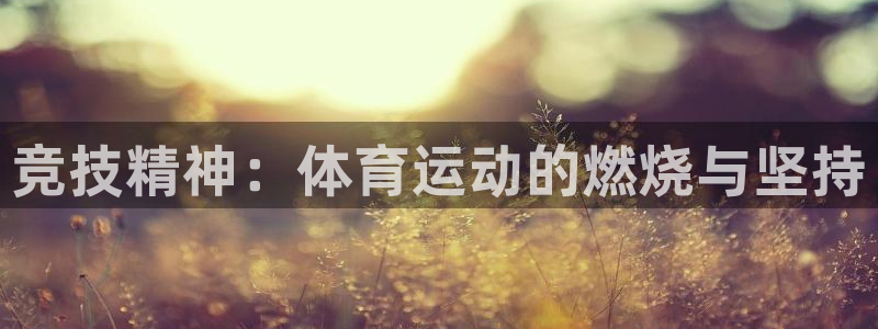 ug环球官网注册：竞技精神：体育运动的燃烧与坚持