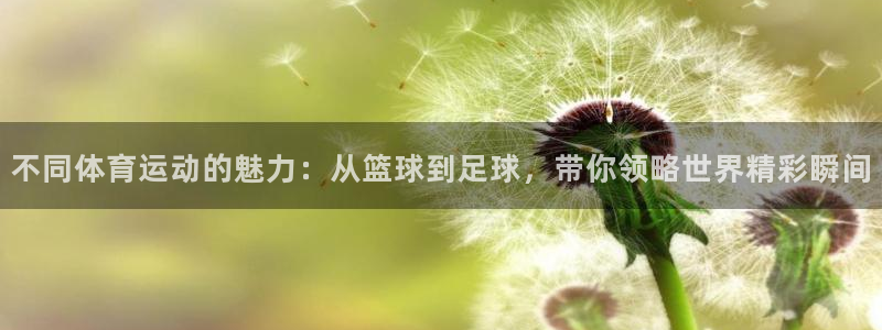 ug环球官网注册：不同体育运动的魅力：从篮球到足球，带你领略世界精彩瞬间
