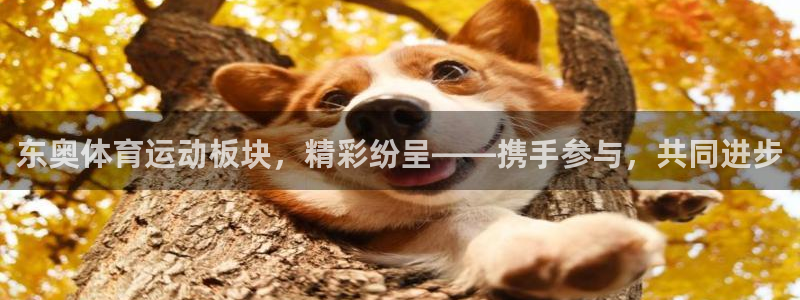 菲律宾ug环球官网