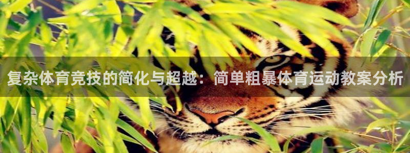 ug环球官网注册