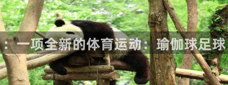 菲律宾ug环球官网