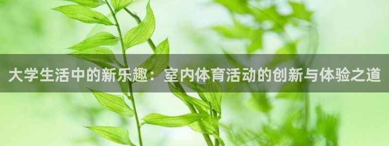 菲律宾ug环球官网：大学生活中的新乐趣：室内体育活动的创新与体验之道
